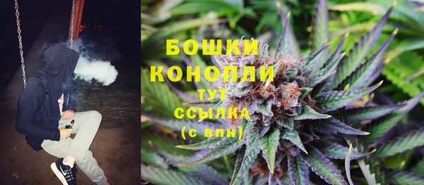 твердый Володарск